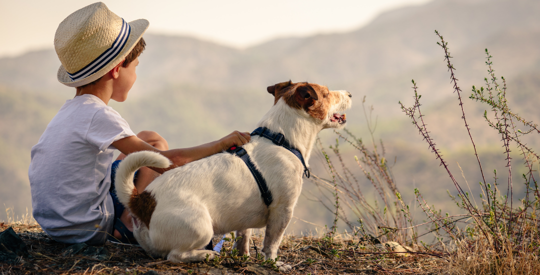 Tail-Wagging Ways to Care for Your Pet While You’re on Vacation